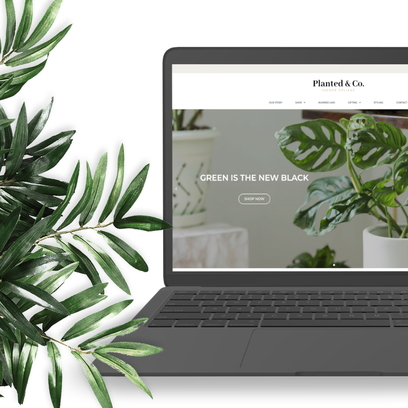 Planted&co website design